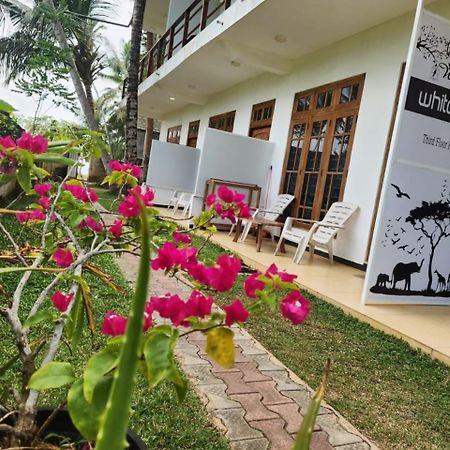 White Lion Paradise Dikwella Batigama Zewnętrze zdjęcie